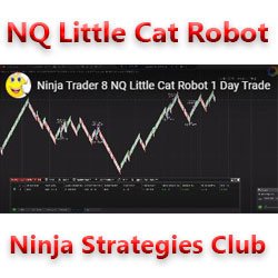 NQ Little CAT Robot System