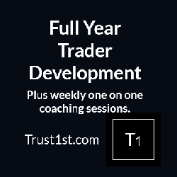 Full Year Trader Development Program + one on one weekly coaching