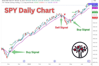 TST Trender Momentum Indicator