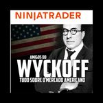 plataforma NinjaTrader 8